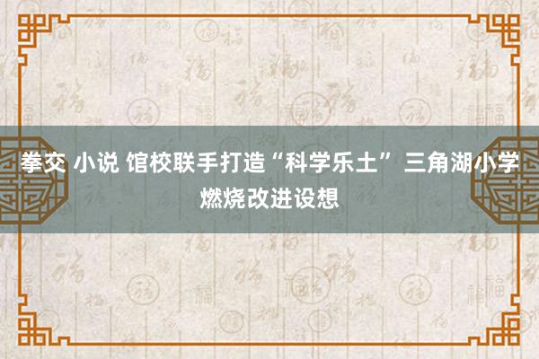 拳交 小说 馆校联手打造“科学乐土” 三角湖小学燃烧改进设想