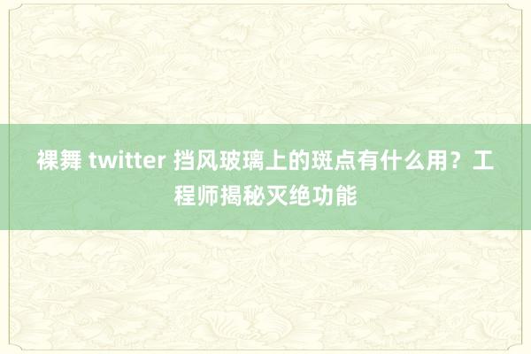 裸舞 twitter 挡风玻璃上的斑点有什么用？工程师揭秘灭绝功能