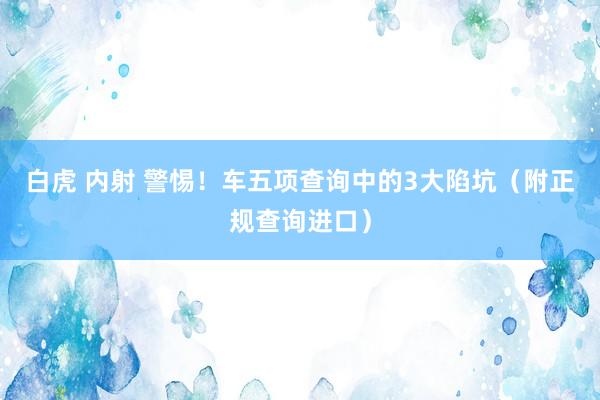 白虎 内射 警惕！车五项查询中的3大陷坑（附正规查询进口）