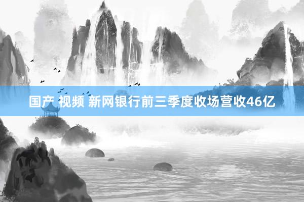 国产 视频 新网银行前三季度收场营收46亿