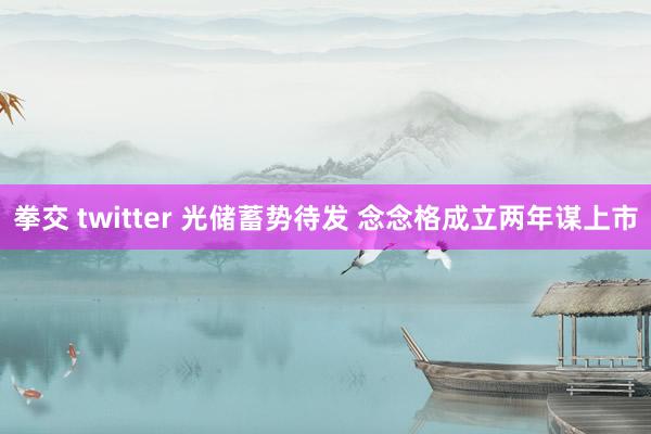 拳交 twitter 光储蓄势待发 念念格成立两年谋上市