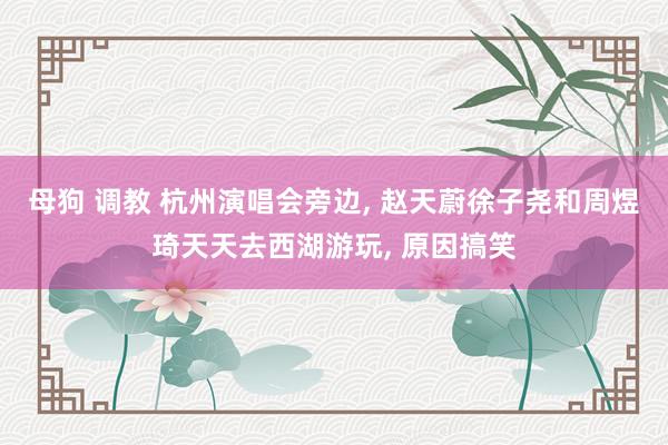 母狗 调教 杭州演唱会旁边， 赵天蔚徐子尧和周煜琦天天去西湖游玩， 原因搞笑