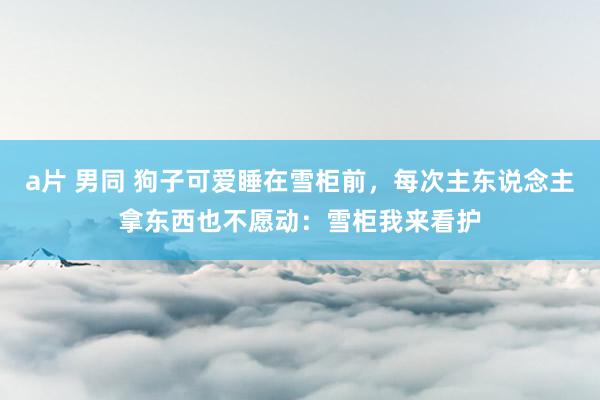a片 男同 狗子可爱睡在雪柜前，每次主东说念主拿东西也不愿动：雪柜我来看护
